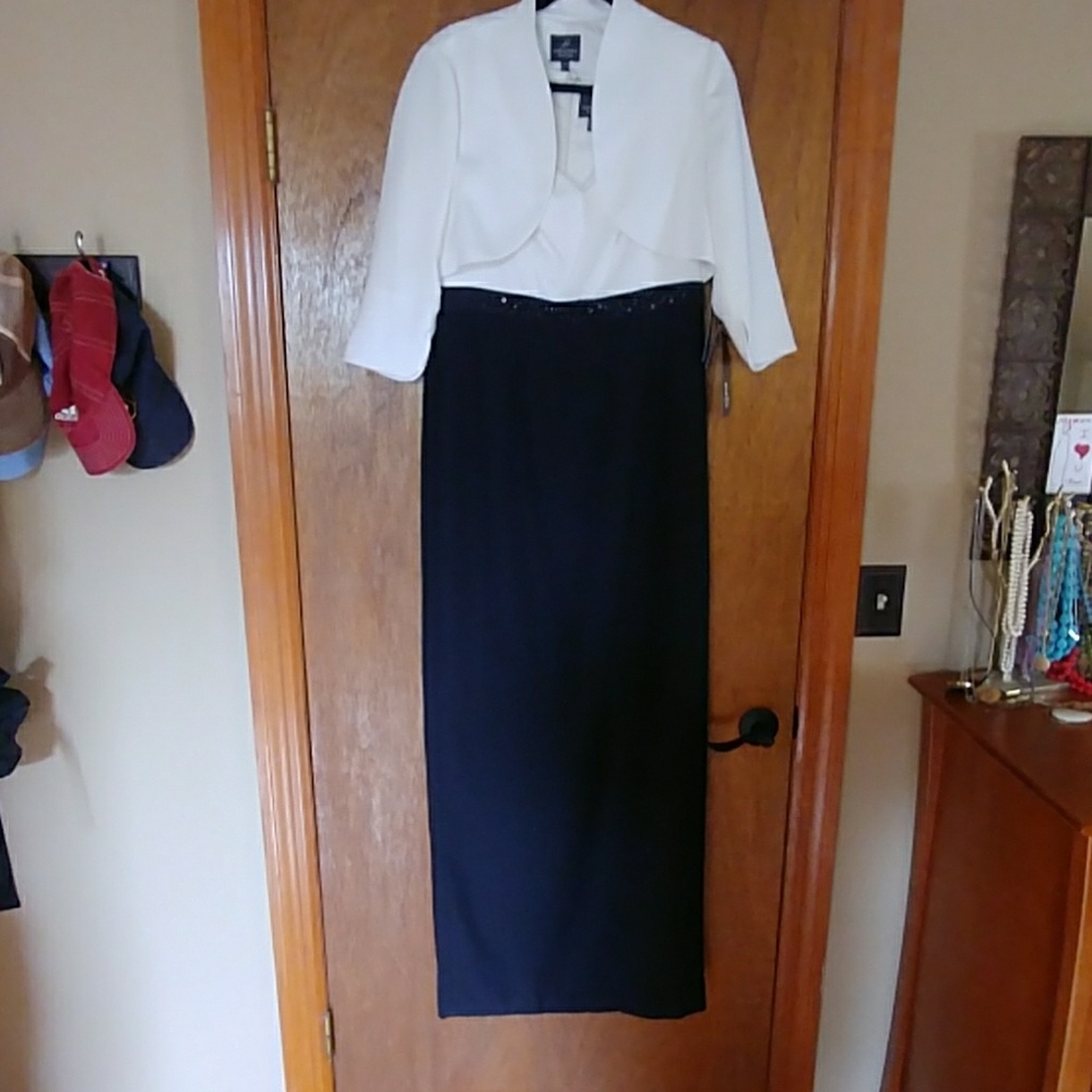 Adrianna Papell evening gown